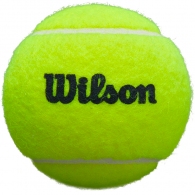 Set mingi p/u tenis 3 buc Wilson PREMIER PADEL SPEED 3 BALL CAN thumbnav 2