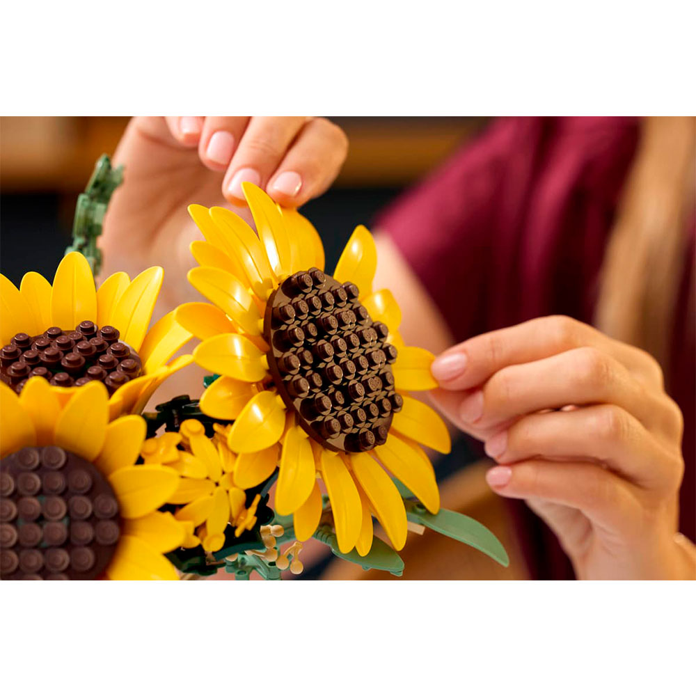 Constructor Lego 11502 photo 9