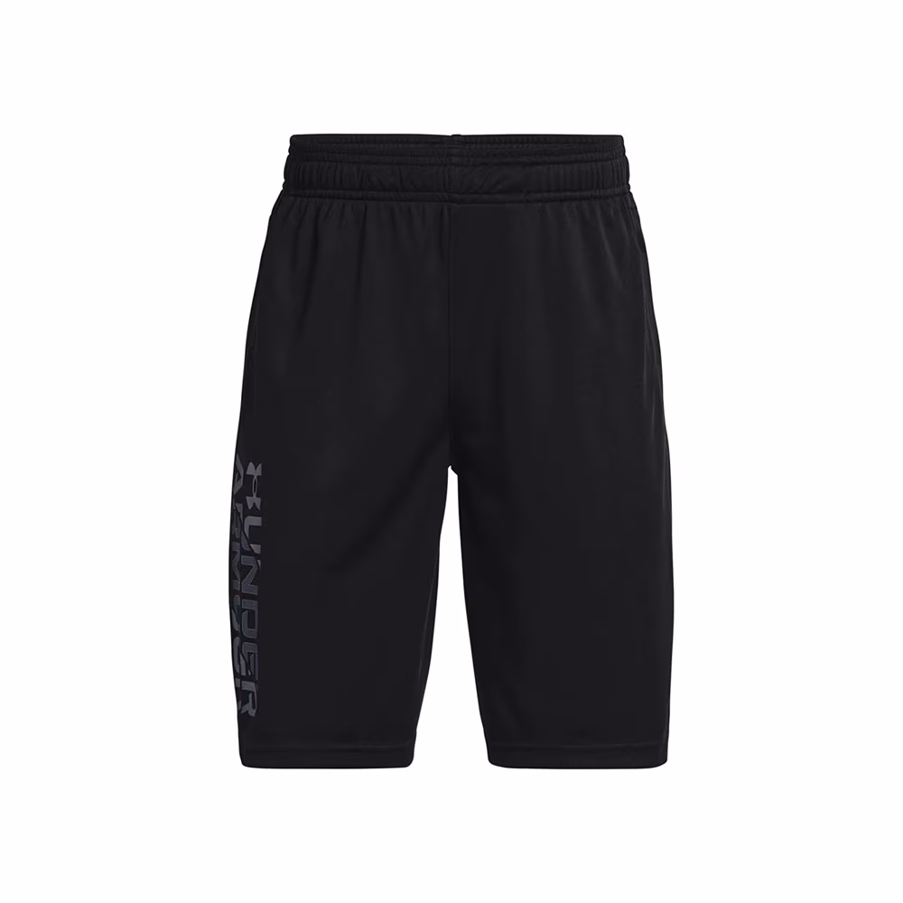 Шорты Under Armour UA Prototype 2.0 Wdmk Shorts