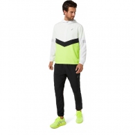 Куртка Asics LITE-SHOW JACKET thumbnav 5