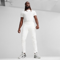 Брюки Puma EVOSTRIPE Pants DK thumbnav 2
