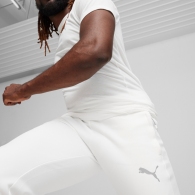 Брюки Puma EVOSTRIPE Pants DK thumbnav 4