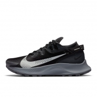 Incaltaminte Sport Nike W PEGASUS TRAIL 2 thumbnav