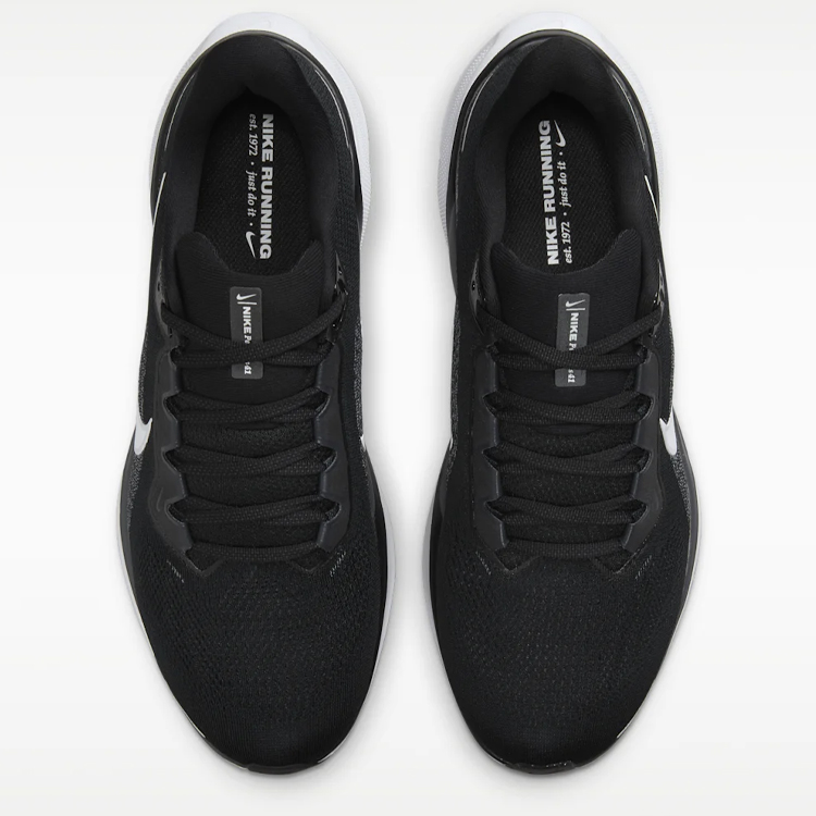 Кроссовки Nike PEGASUS 41 photo 8