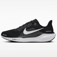 Кроссовки Nike PEGASUS 41 thumbnav 1