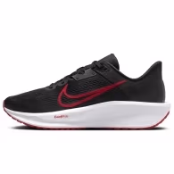 Кроссовки Nike QUEST 6