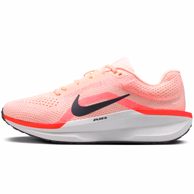 Кроссовки Nike WMNS AIR WINFLO 11