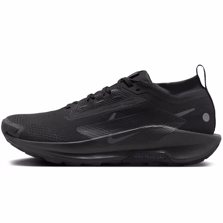 Incaltaminte Sport Nike PEGASUS TRAIL 5 GTX