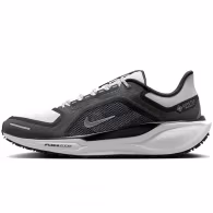 Кроссовки Nike AIR ZM PEGASUS 41 GTX
