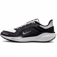 Кроссовки Nike W AIR ZM PEGASUS 41 GTX