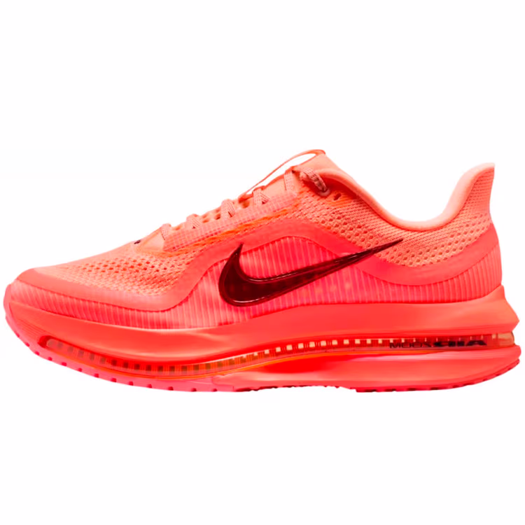 Incaltaminte Sport Nike PEGASUS PREMIUM