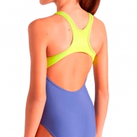 Купальник Arena DIM LIGHT SWIMSUIT SWIM PRO BA thumbnav 2
