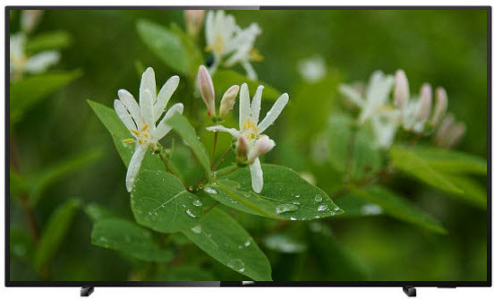 Телевизор Philips 65PUS6503 / 65" / LED / UHD 4K photo 1