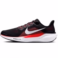 Кроссовки Nike AIR ZOOM PEGASUS 41