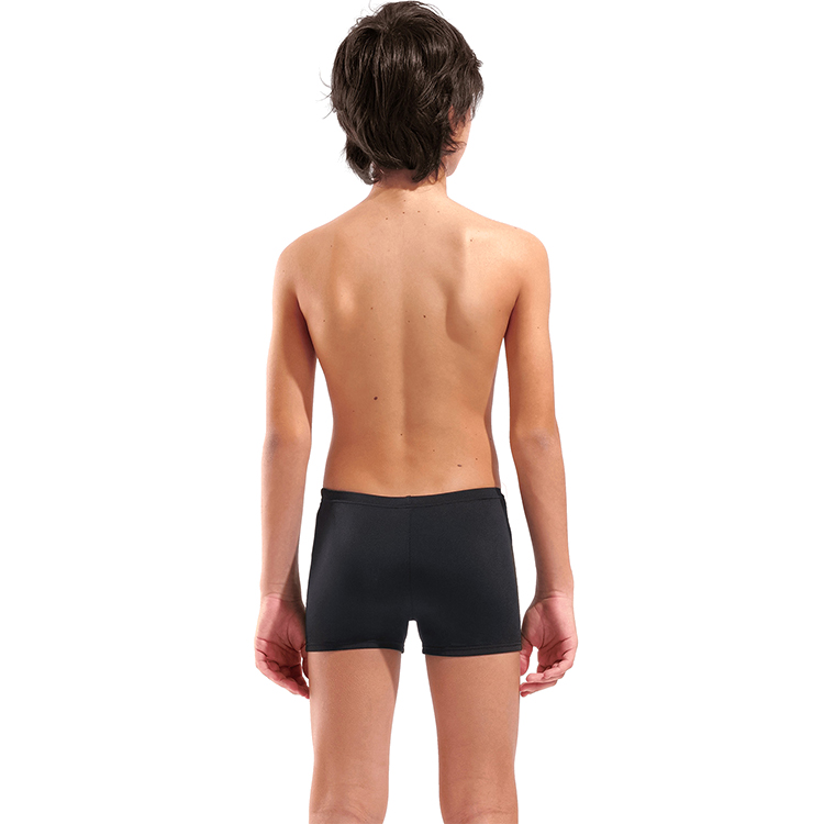Плавки-шорты Arena POSEIDONIA SWIM SHORT photo 4