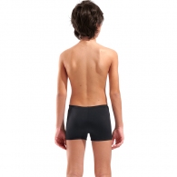 Плавки-шорты Arena POSEIDONIA SWIM SHORT thumbnav 4