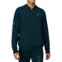Толстовка Asics BIG FZ HOODIE thumbnav