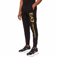 Брюки EA7 EMPORIO ARMANI TRAIN LOGO SERIES M PANTS CH C