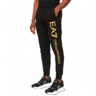 Брюки EA7 EMPORIO ARMANI TRAIN LOGO SERIES M PANTS CH C thumbnav