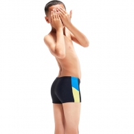 Slipi-sorti Speedo DIVE SPL ASHT JM thumbnav 4