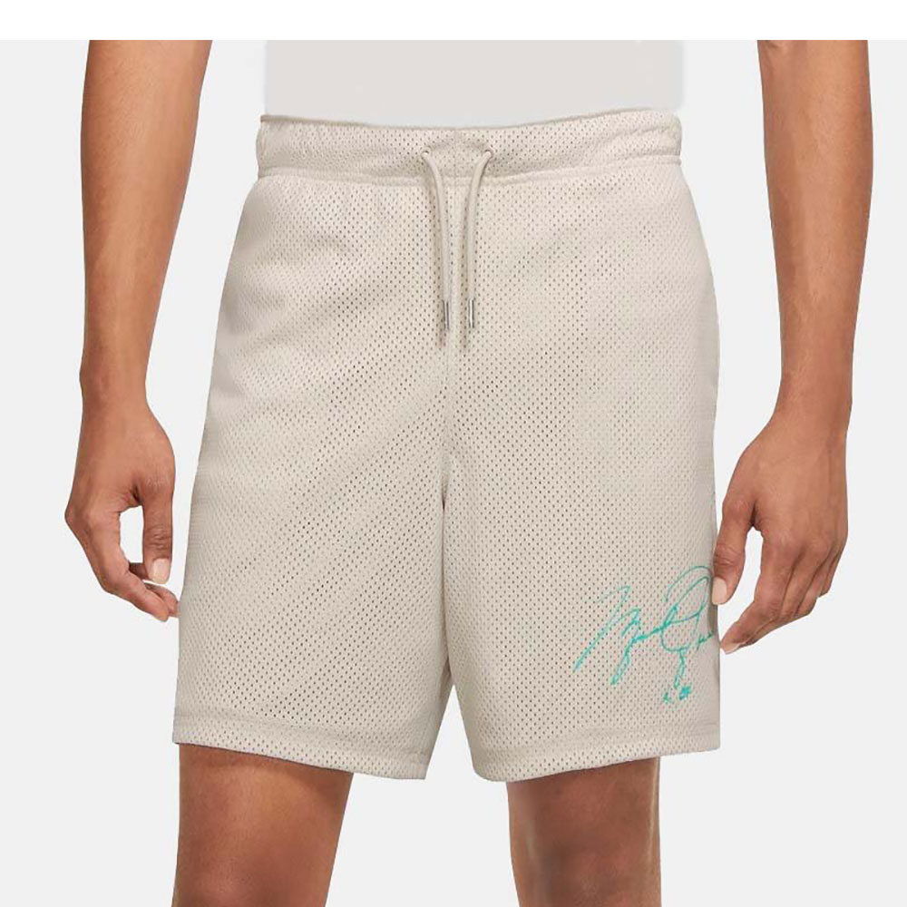 Шорты Nike M J ESS MESH GFX SHORT photo 