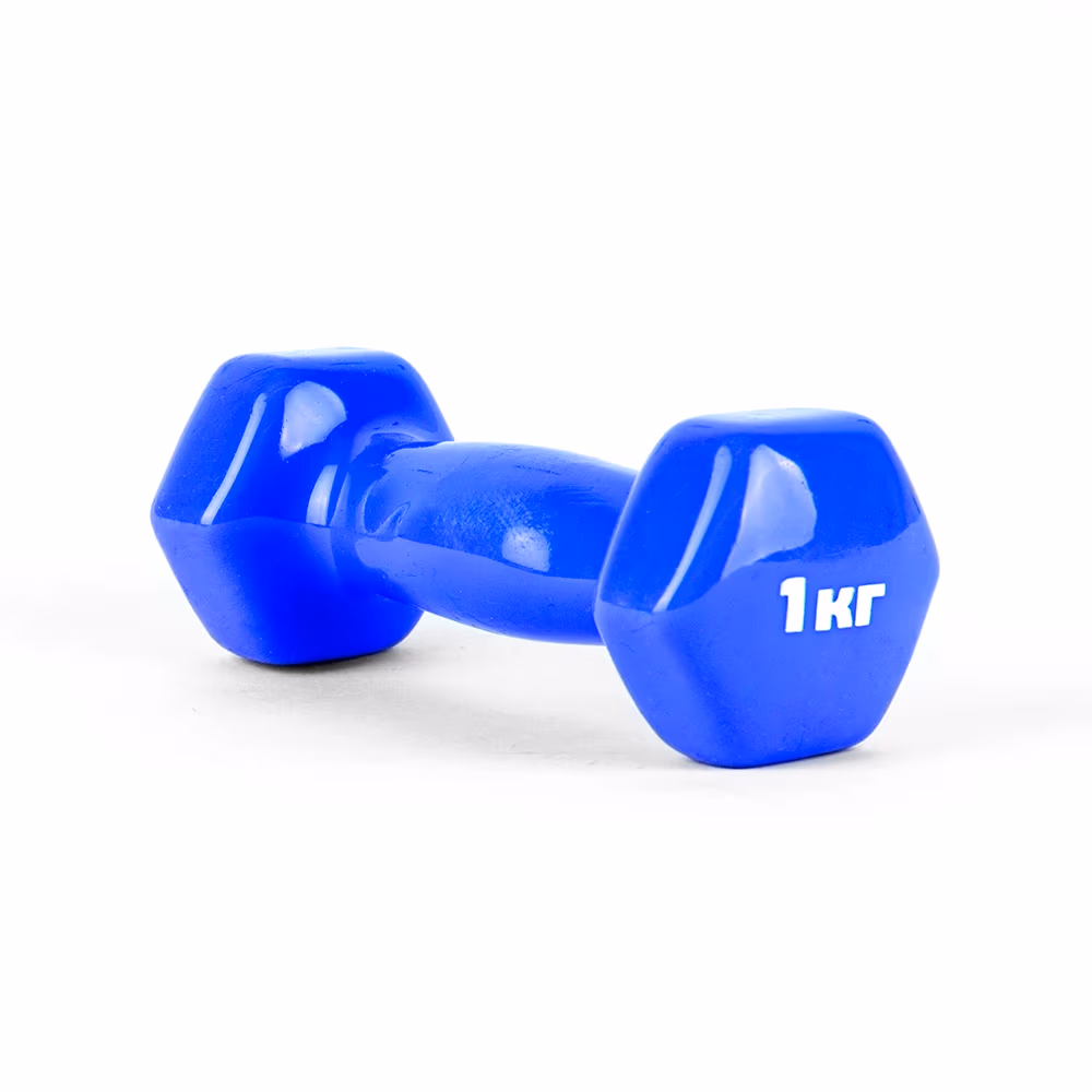 Gantera 1 kg SILAPRO Dumbbell 1 kg 
