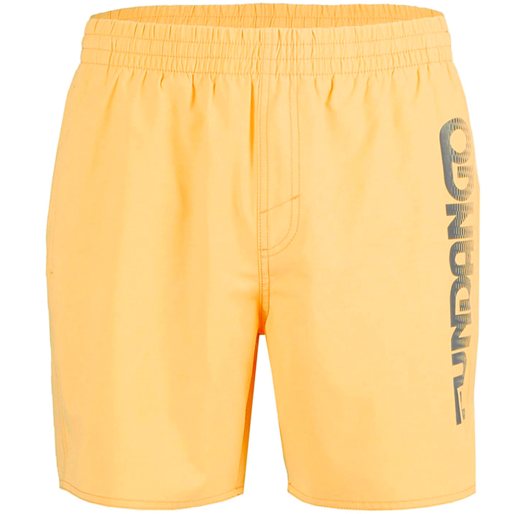 Шорты для плавания Fundango Bono Beach Shorts/Желтый photo 3