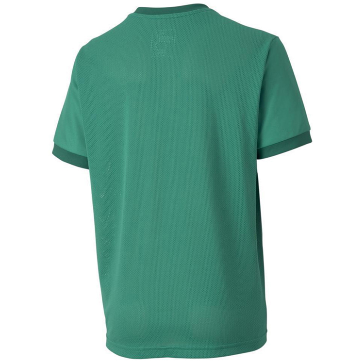 Футболка Puma teamGOAL 23 Jersey jr photo 3