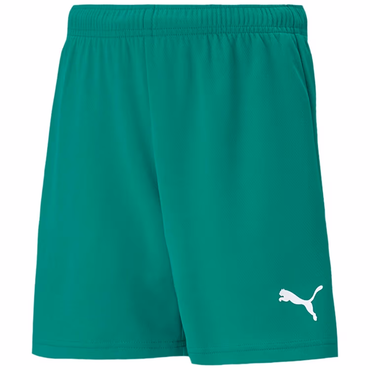 Sorti Puma teamRISE Short Jr