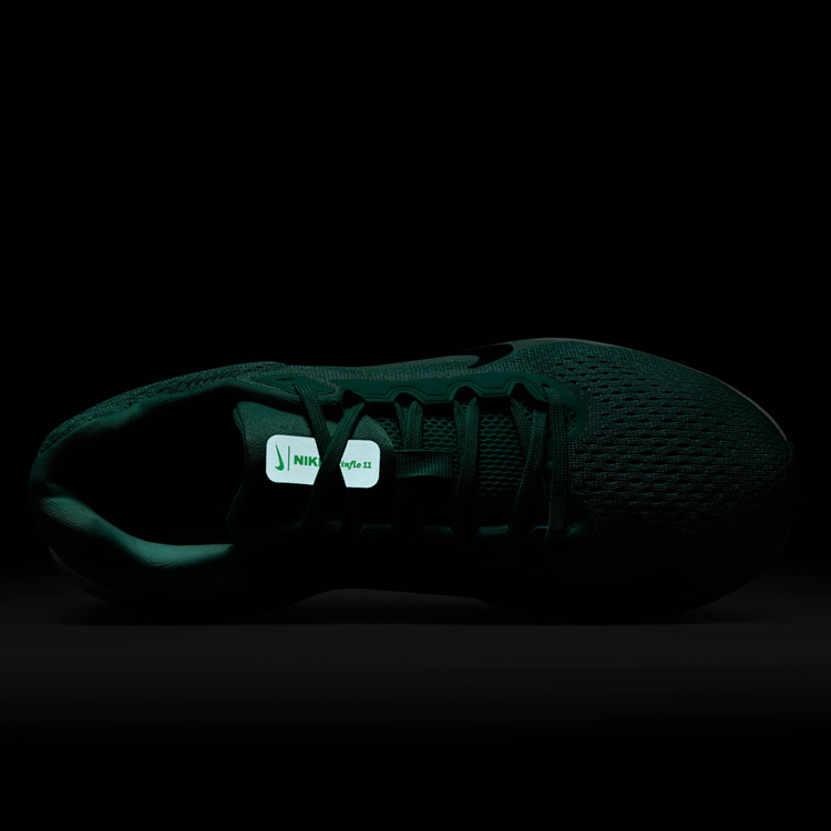 Кроссовки Nike WMNS AIR WINFLO 11 photo 6