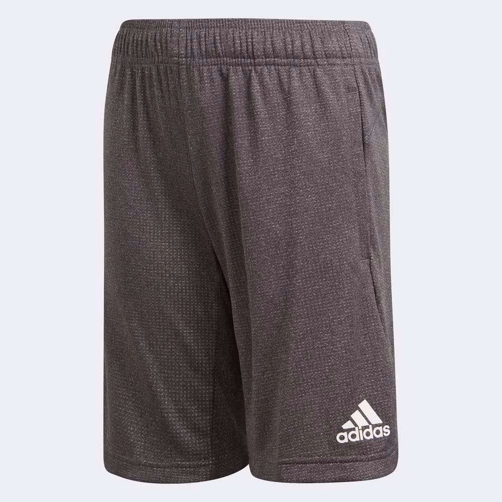 Sorti Adidas YB TR CHILL SH