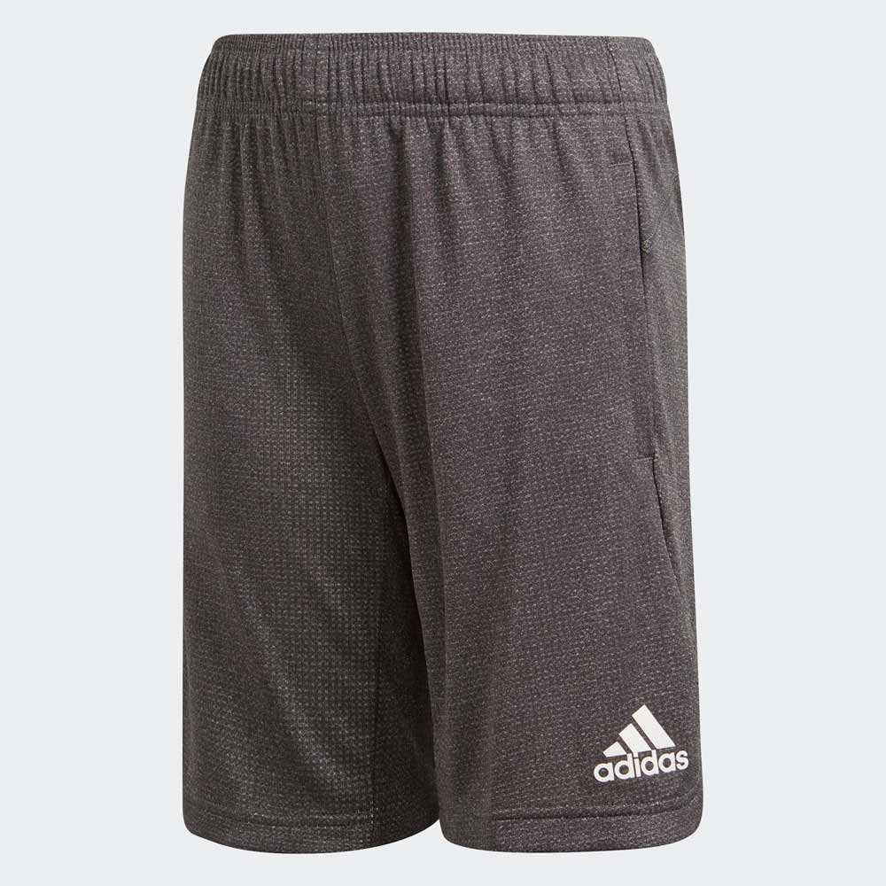 Sorti Adidas YB TR CHILL SH photo Sorti Adidas YB TR CHILL SH photo