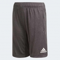Sorti Adidas YB TR CHILL SH thumbnav