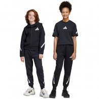 Брюки Adidas J Z.N.E. PT thumbnav
