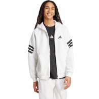 Толстовка Adidas Future Icons 3-Stripes thumbnav 6