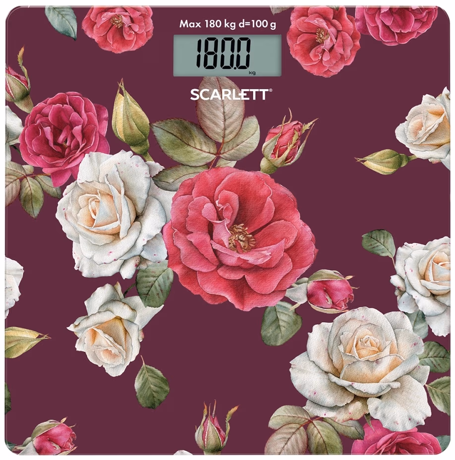 Cintar de podea Scarlett SC-BS33E006