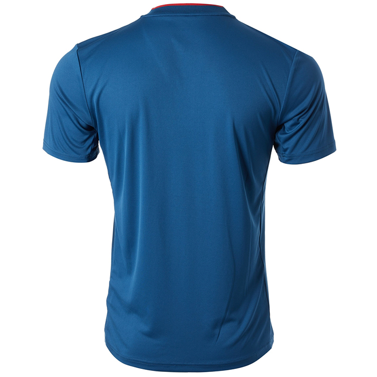 Мужские Поло Asics COURT M GPX POLO L Синий photo 3