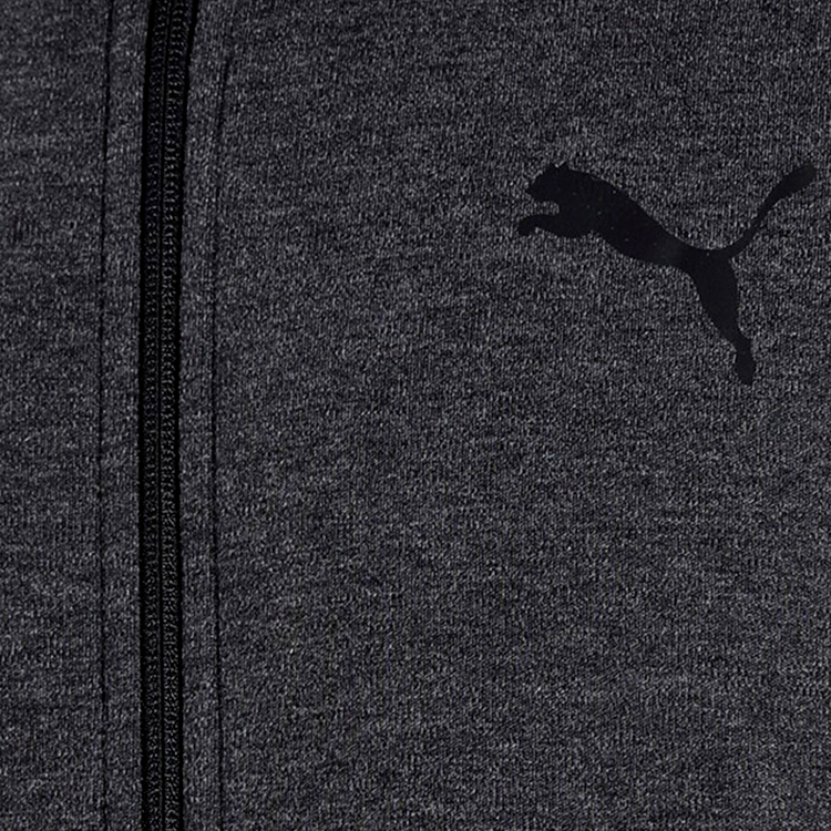Hanorac pt bărbați Puma EVOSTRIPE Core FZ Hoodie S Gri photo 4