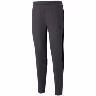 Брюки Puma EVOSTRIPE Core Pants