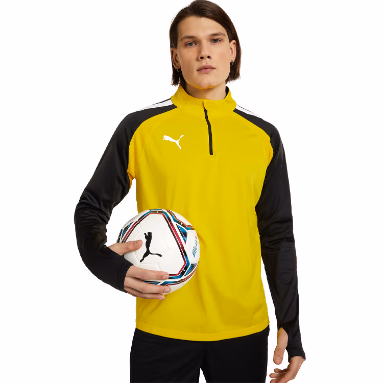 Толстовка Puma teamLIGA 1/4 Zip Top