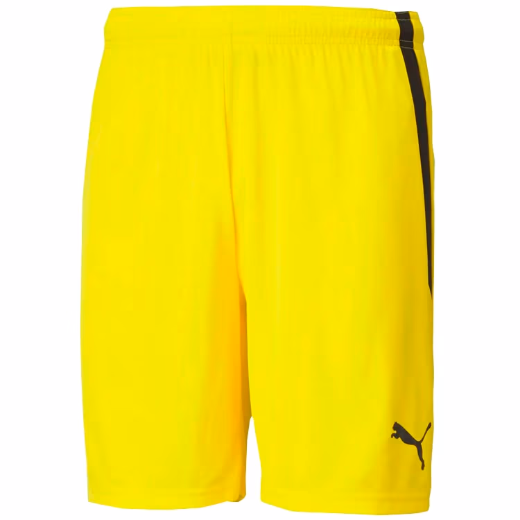 Шорты Puma teamLIGA Shorts Cyber