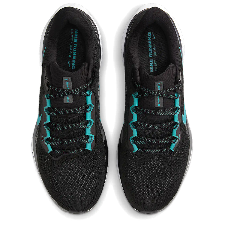 Кроссовки Nike AIR ZOOM PEGASUS 41 / Мужской / 42 / Черный photo 3