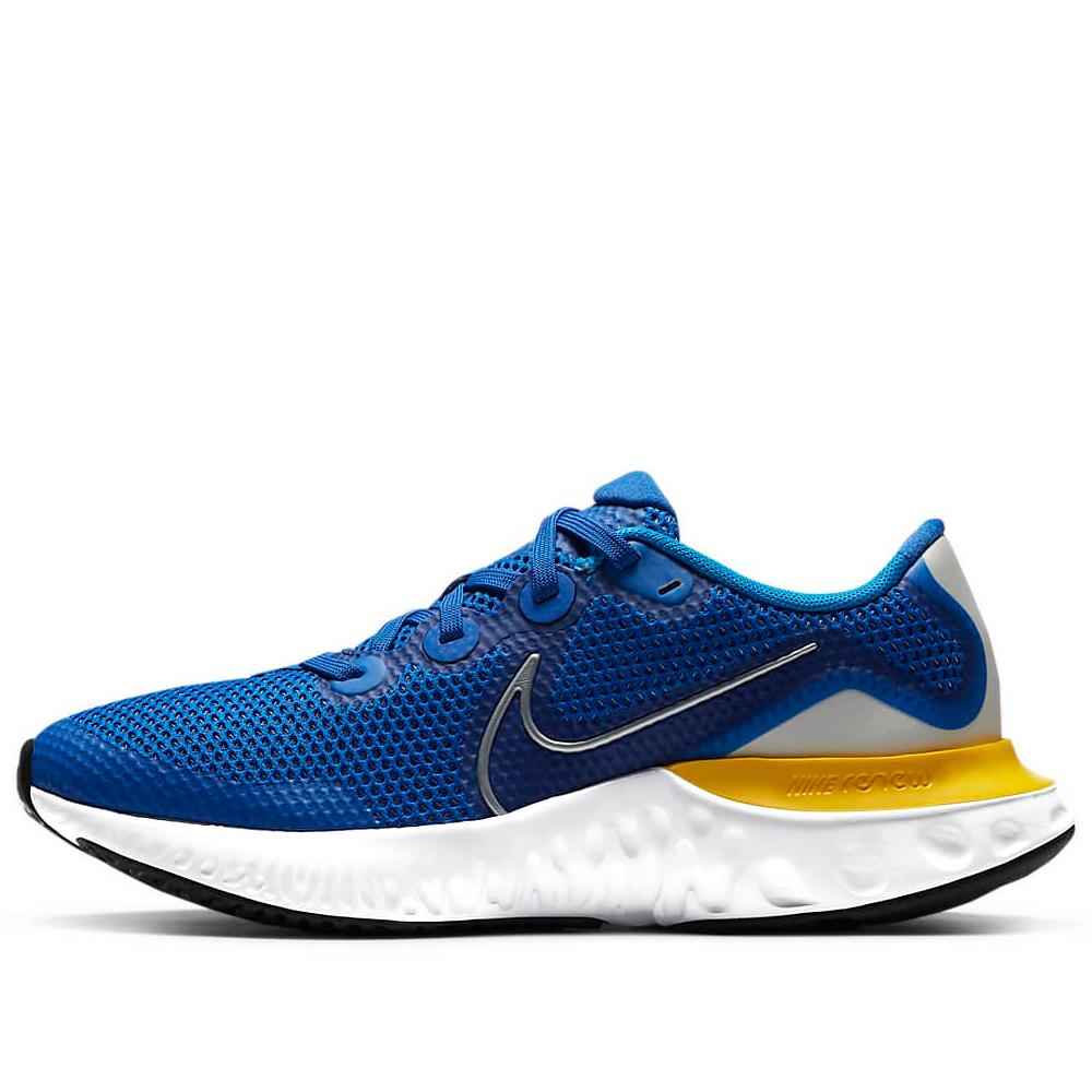 Incaltaminte Sport Nike RENEW RUN (GS) photo 