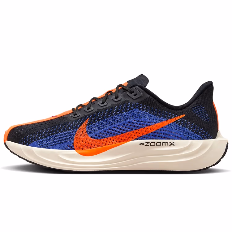 Кроссовки Nike PEGASUS PLUS