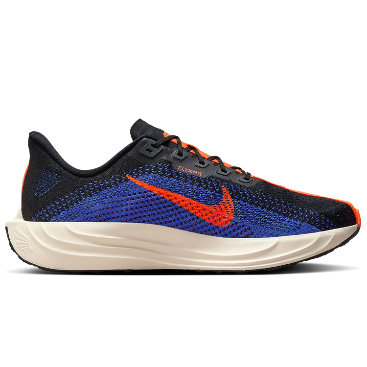 Кроссовки Nike PEGASUS PLUS / Мужской / 43 / Синий photo 2