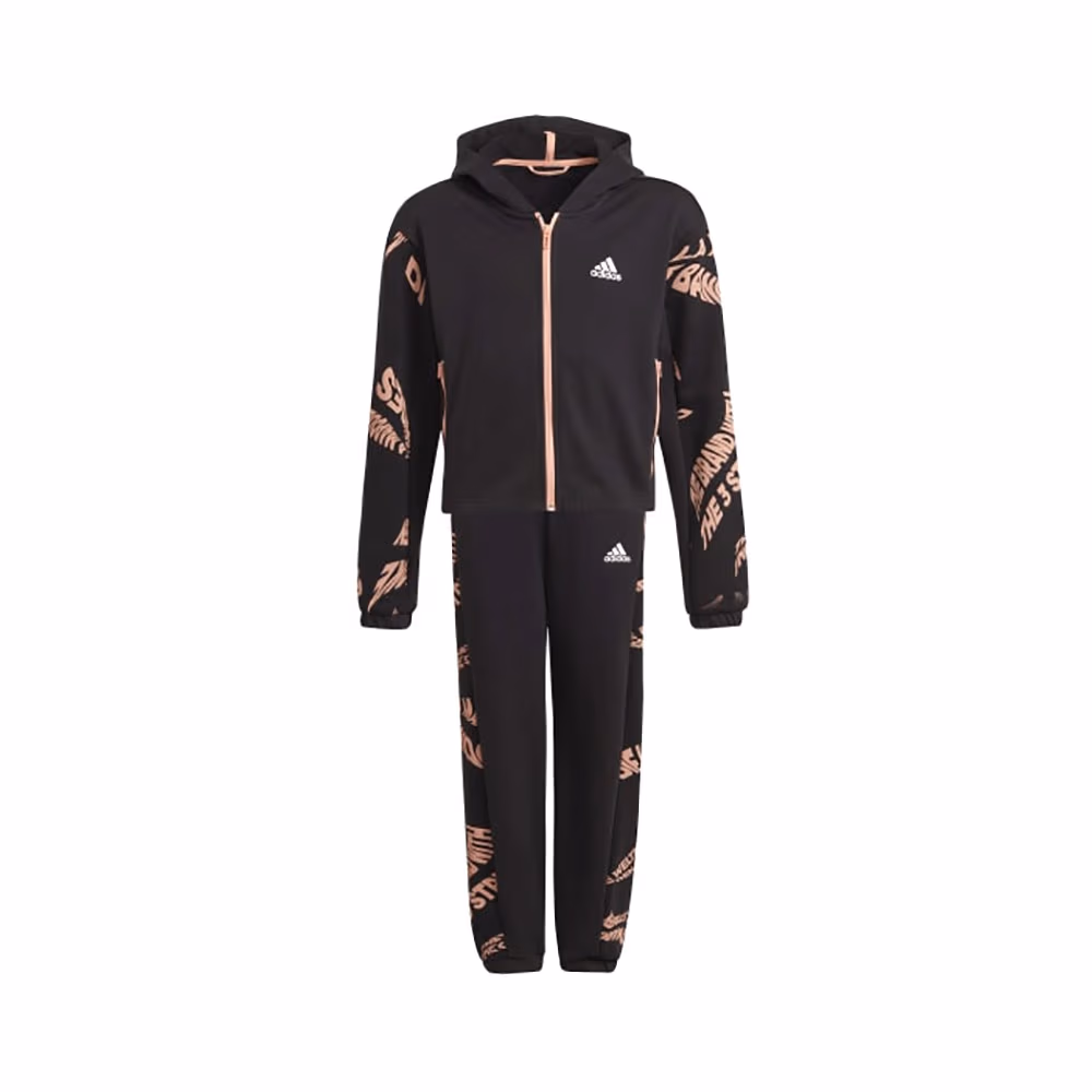 Спортивный костюм Adidas G Hooded CO TS