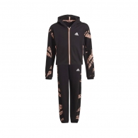 Спортивный костюм Adidas G Hooded CO TS thumbnav