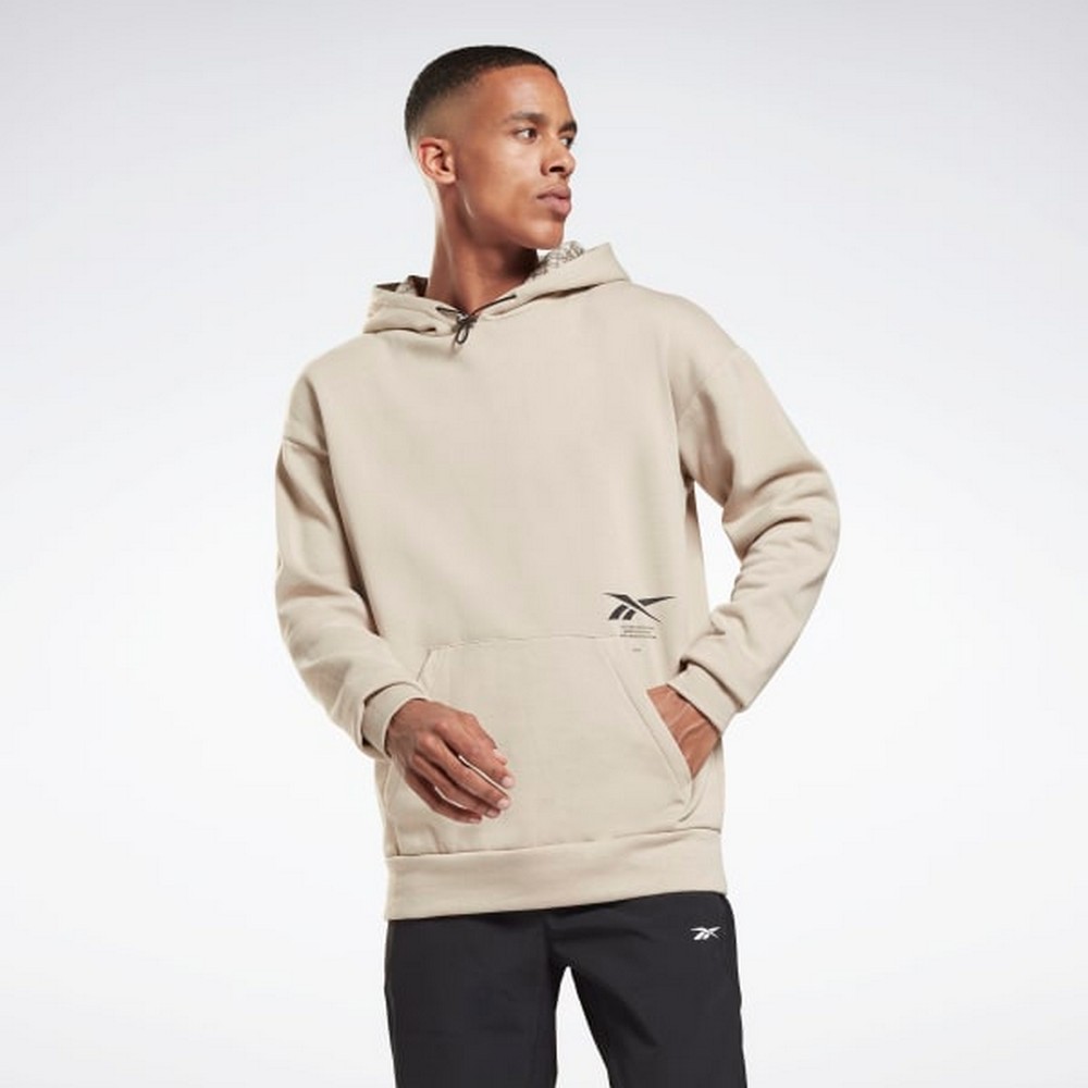 Hanorac pt bărbați Reebok TS Graphene CO OTH S Bej photo 2
