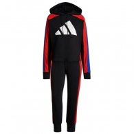 Спортивный костюм Adidas W TS BIG LOGO thumbnav