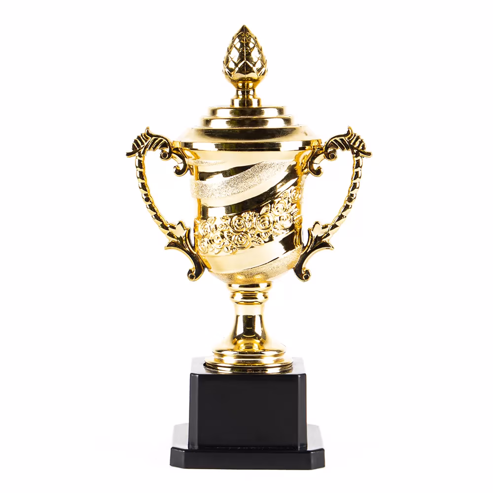 Кубок HAOYUNQI Gold Cup